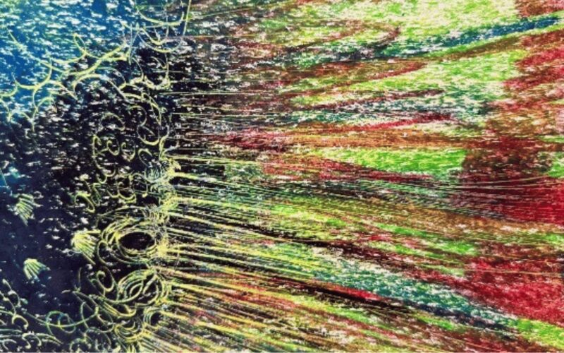 COLLABORACTION KIDS Network Anticorpi XL &ndash; Walt e l&rsquo;arte di volare